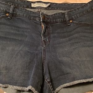 Torrid Denim Shorts